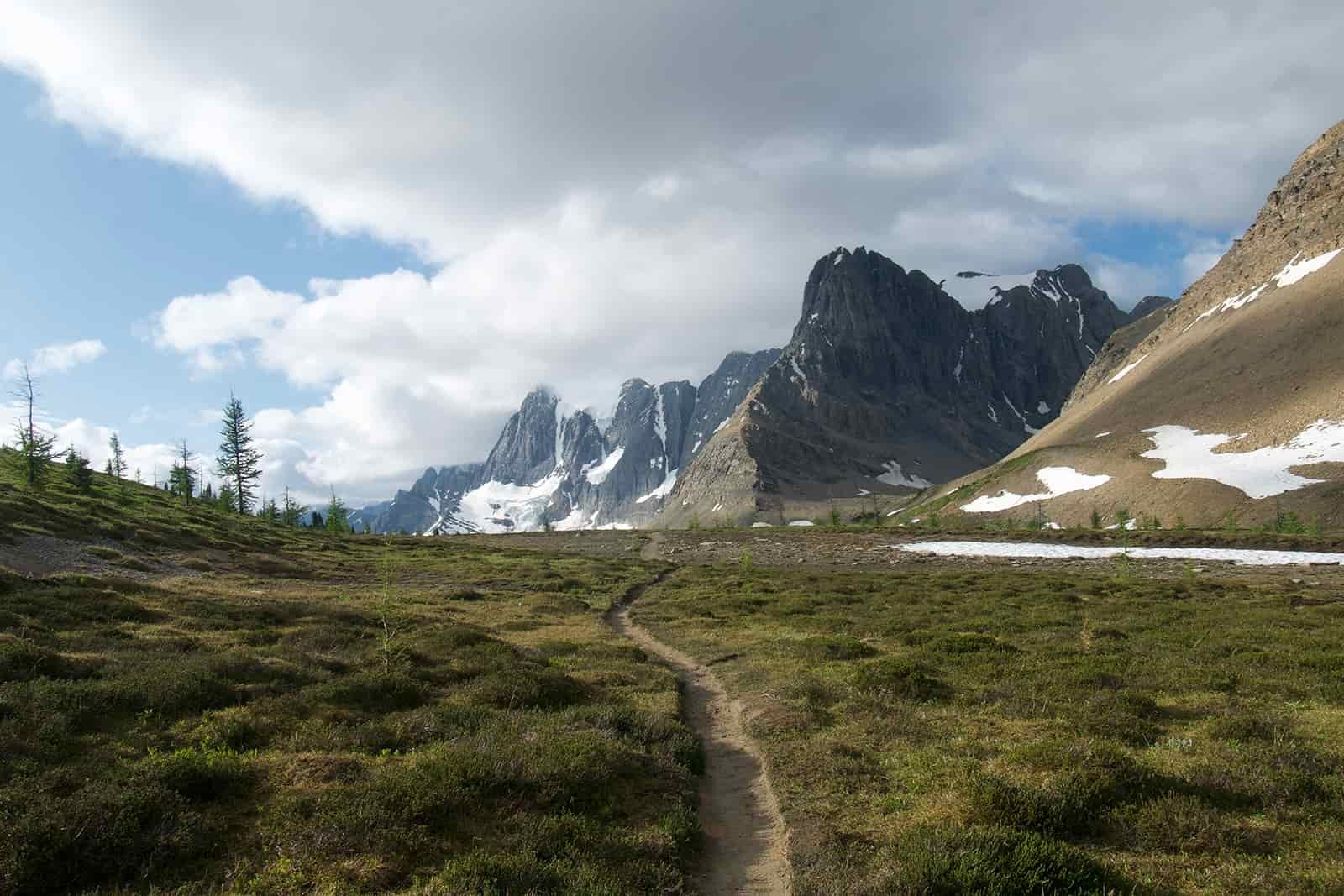 A trail runs straight away from the viewer through an open, grassy area. There are craggy, glacier covered mountains in the distance.