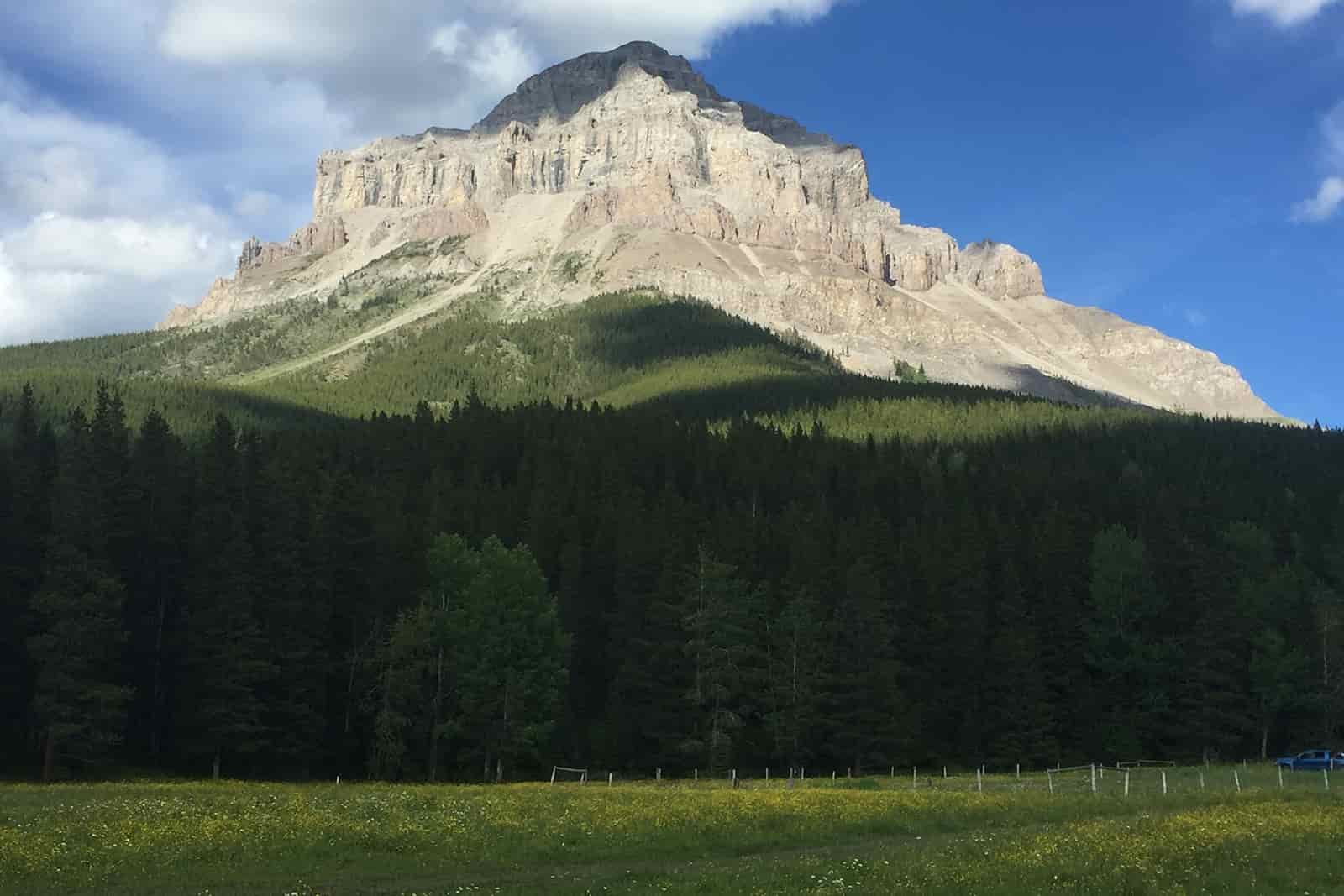 A butte rises prominently from the pine trees.