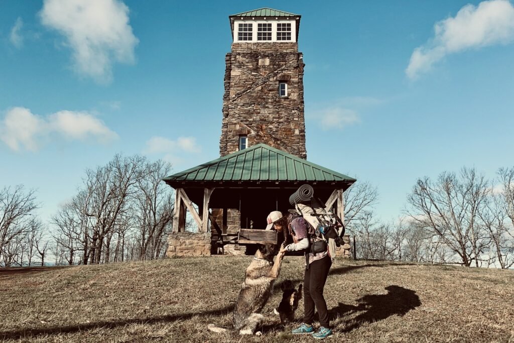 A person wearing a backpack is bending over a German Shepherd Dog and small terrier in a celebratory way. A stone tower and pavilion are immediately behind them. The area around the person and tower is open and grassy with some bare trees in the distance.