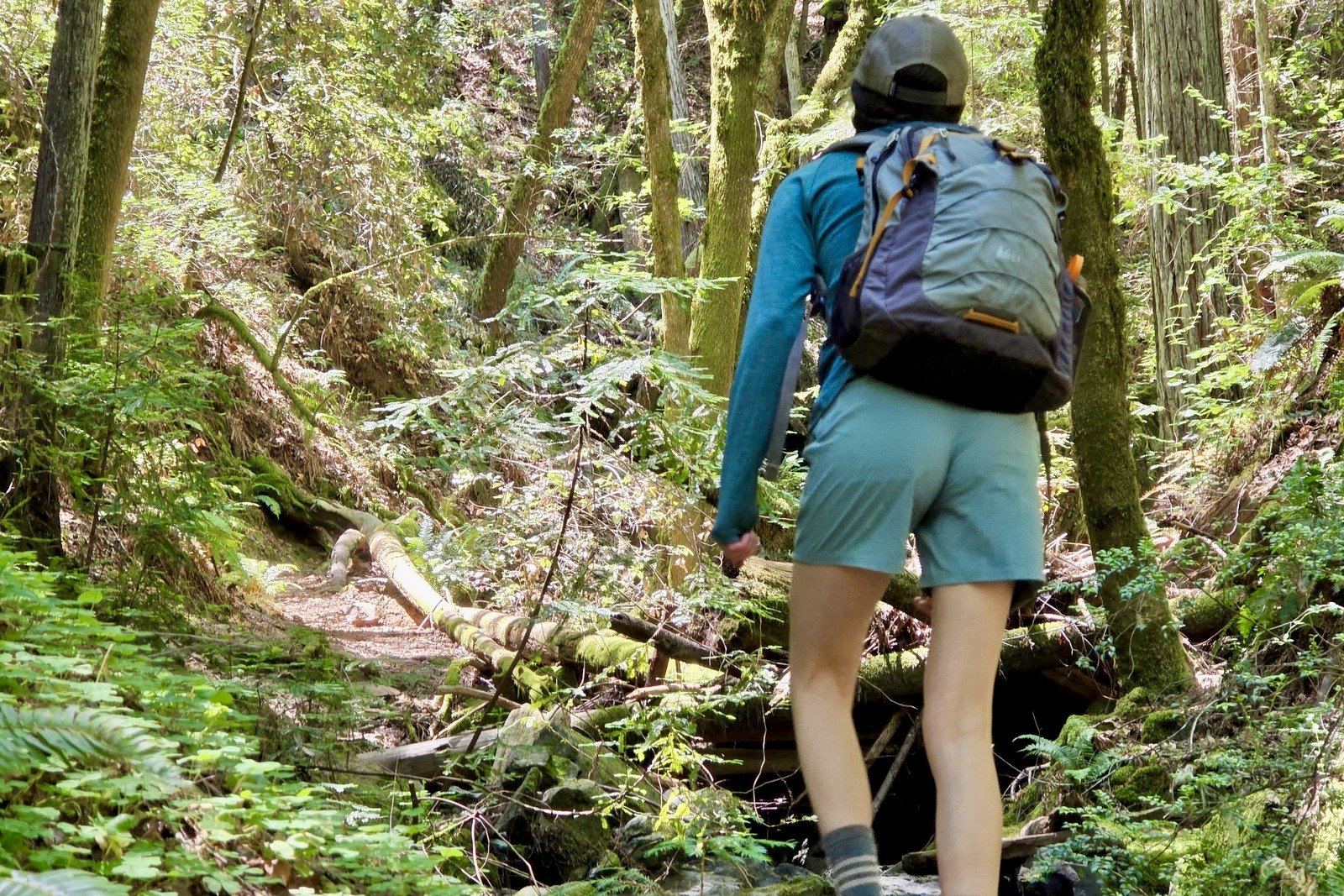 Women hikes up a trail wearing her REI Trailmade Shorts.