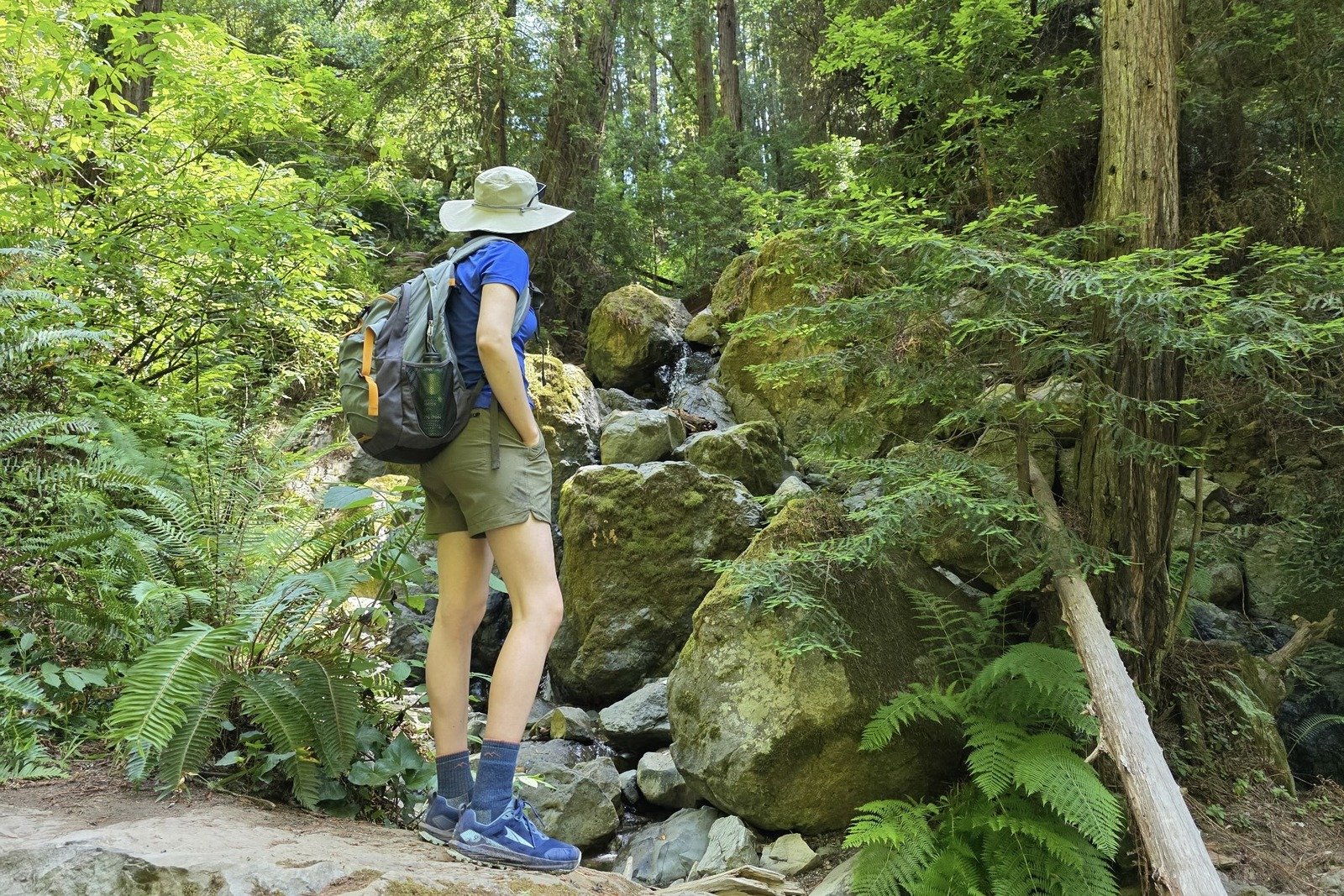 A woman stands on a rock looking at the forest ahead, carrying a daypack.