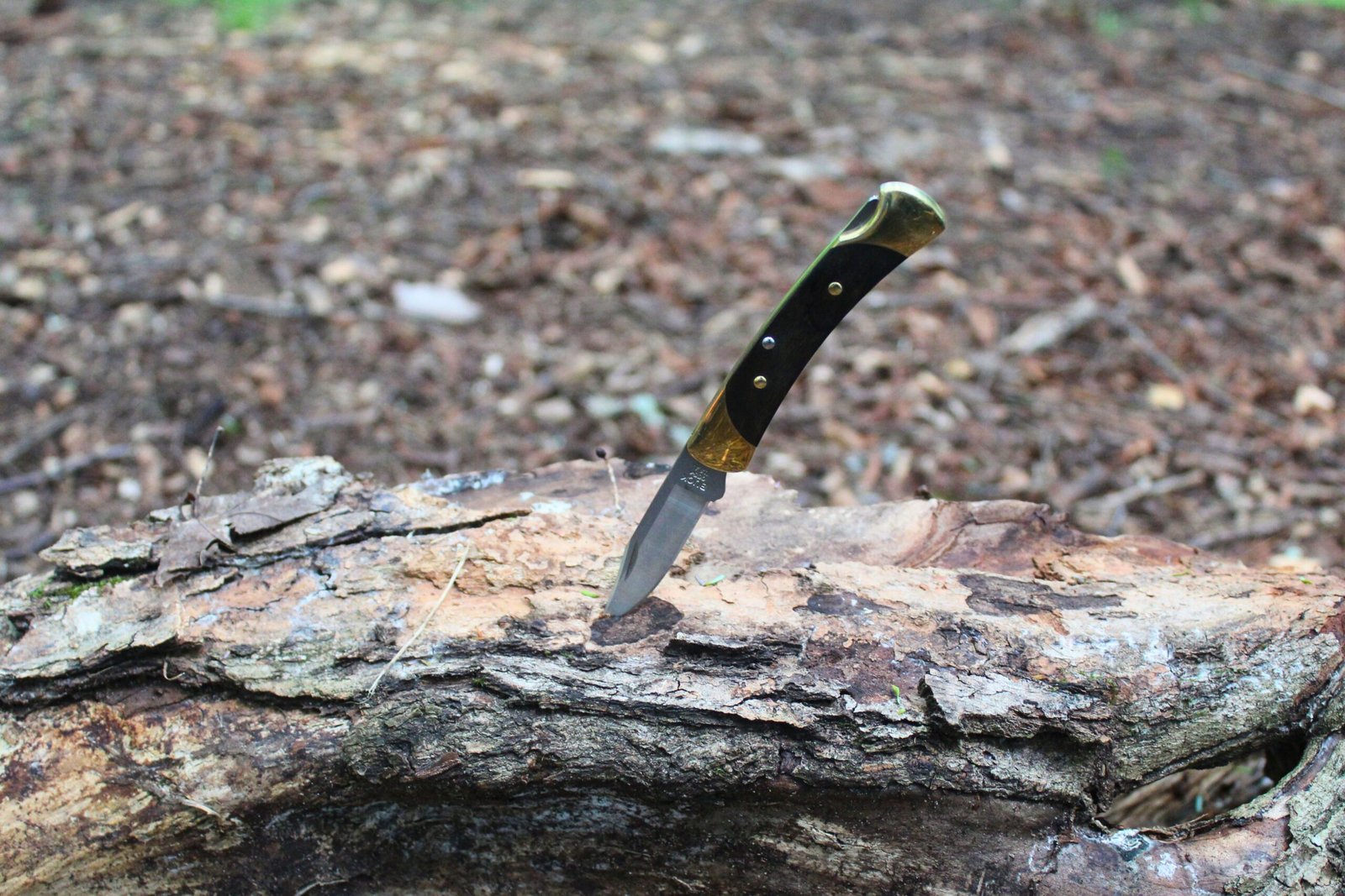 The Buck Knives 055 Pocket Knife stuck into a log