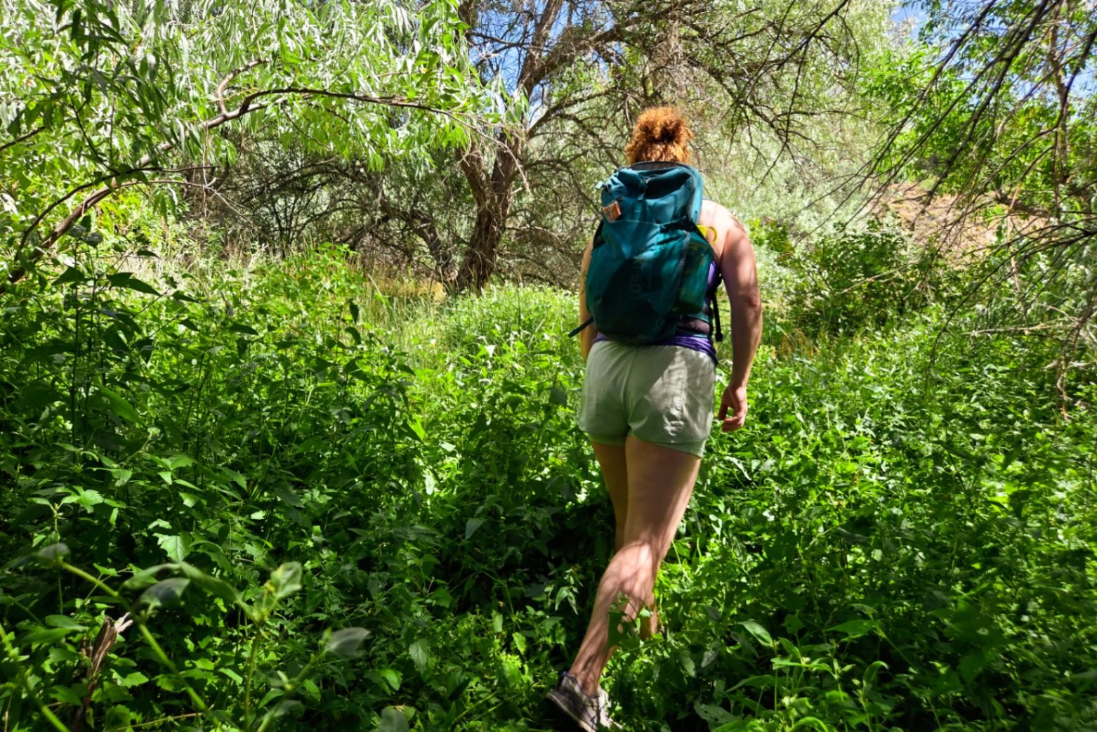 A person wearing a green EXPED daypack walks through tall, green foliage.