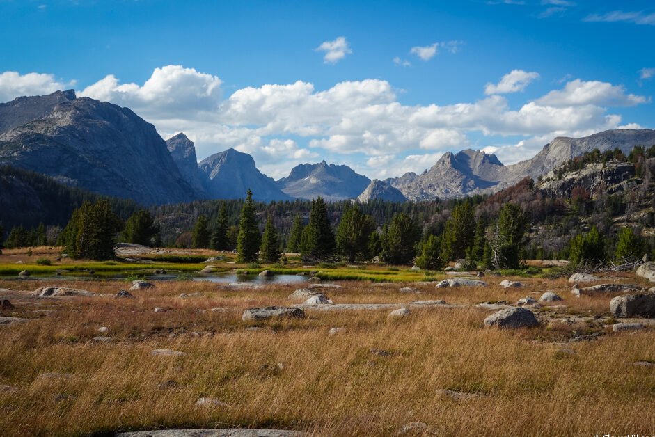 fall meadow with mountains in the distance in the wind river range