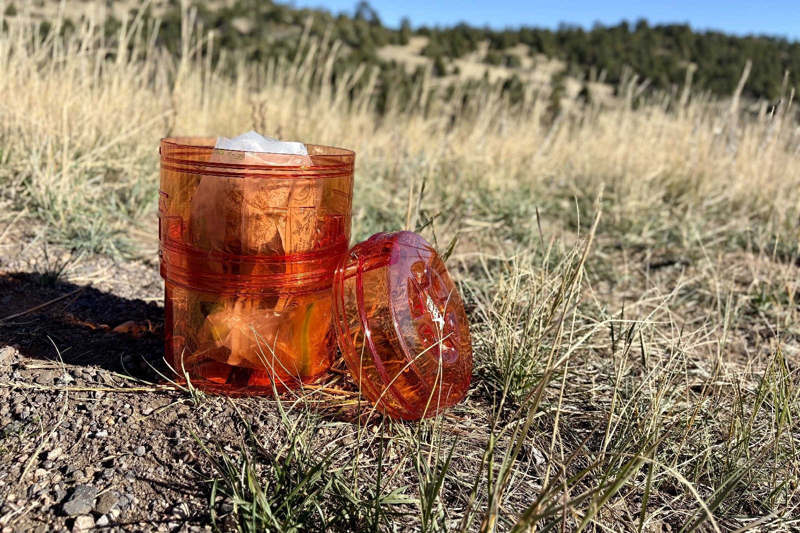 an orange bear canister sits in the grass