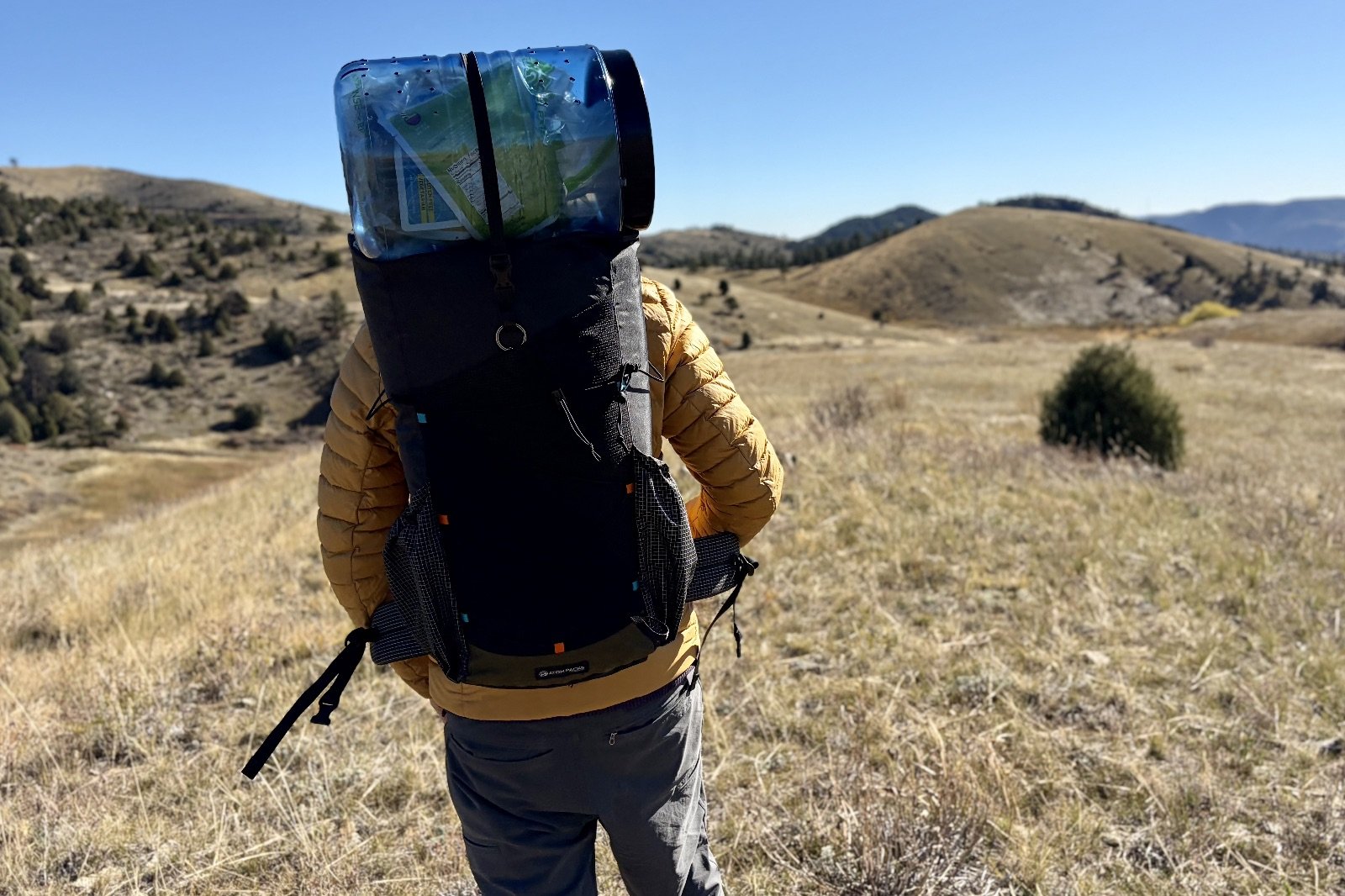 a hiker faces away from the camera with a backpack with a bear canister on top