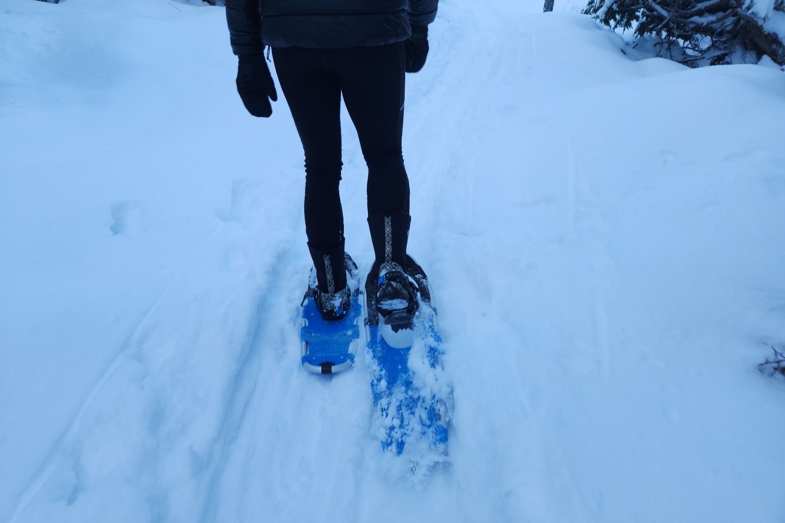 A closeup of the tails of snowshoes on a snowy trail.